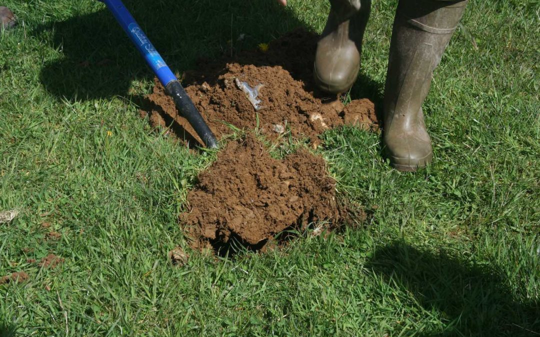 Soil analysis report 2019-20