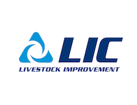 LIC