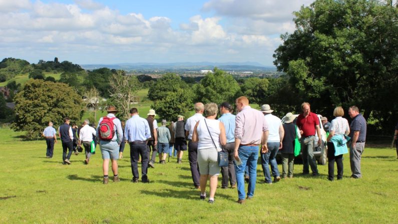 Summer Meeting 2019