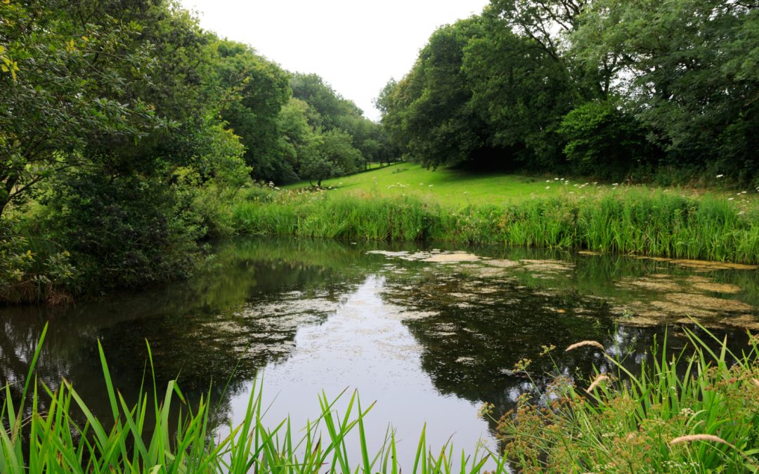 Soil and Water 2020 Conference