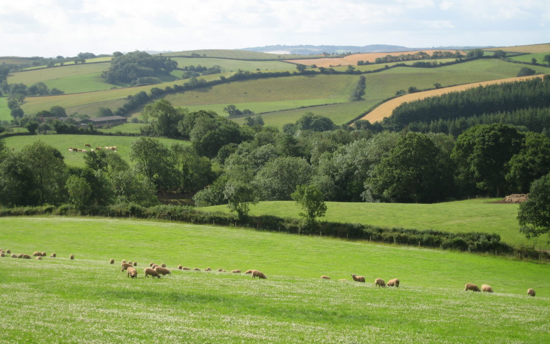 Biodiversity of Grassland webinars