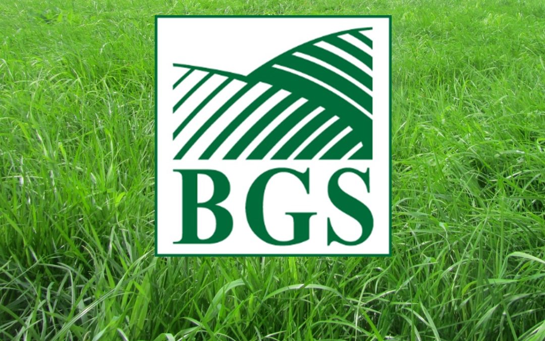 Notice of the 2021 BGS AGM