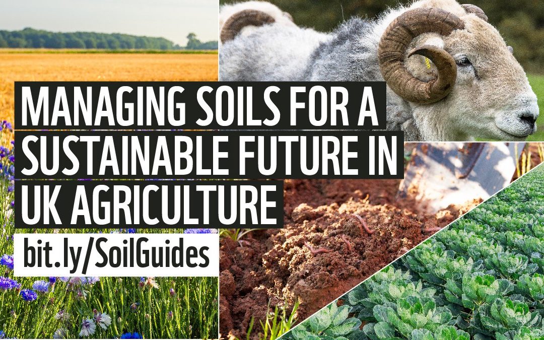 Soil Health Initiative guides