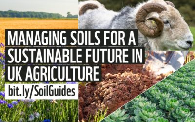 Soil Health Initiative guides