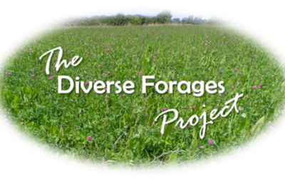 Diverse Forages Project