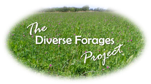 Diverse Forage Project Videos