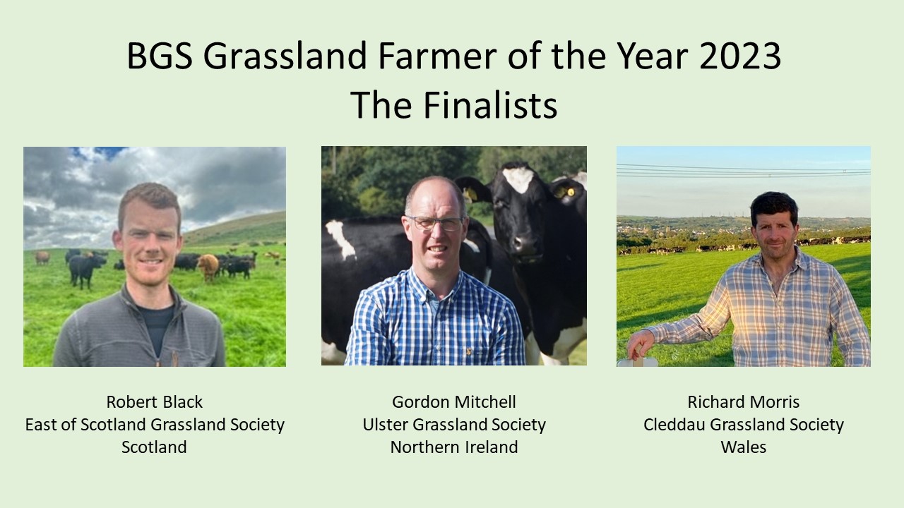 Finalists